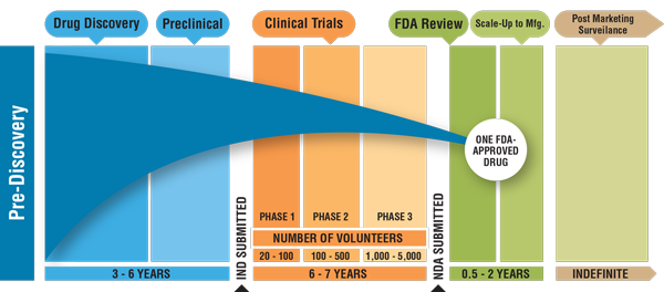 FDA Expedited Review Timeline